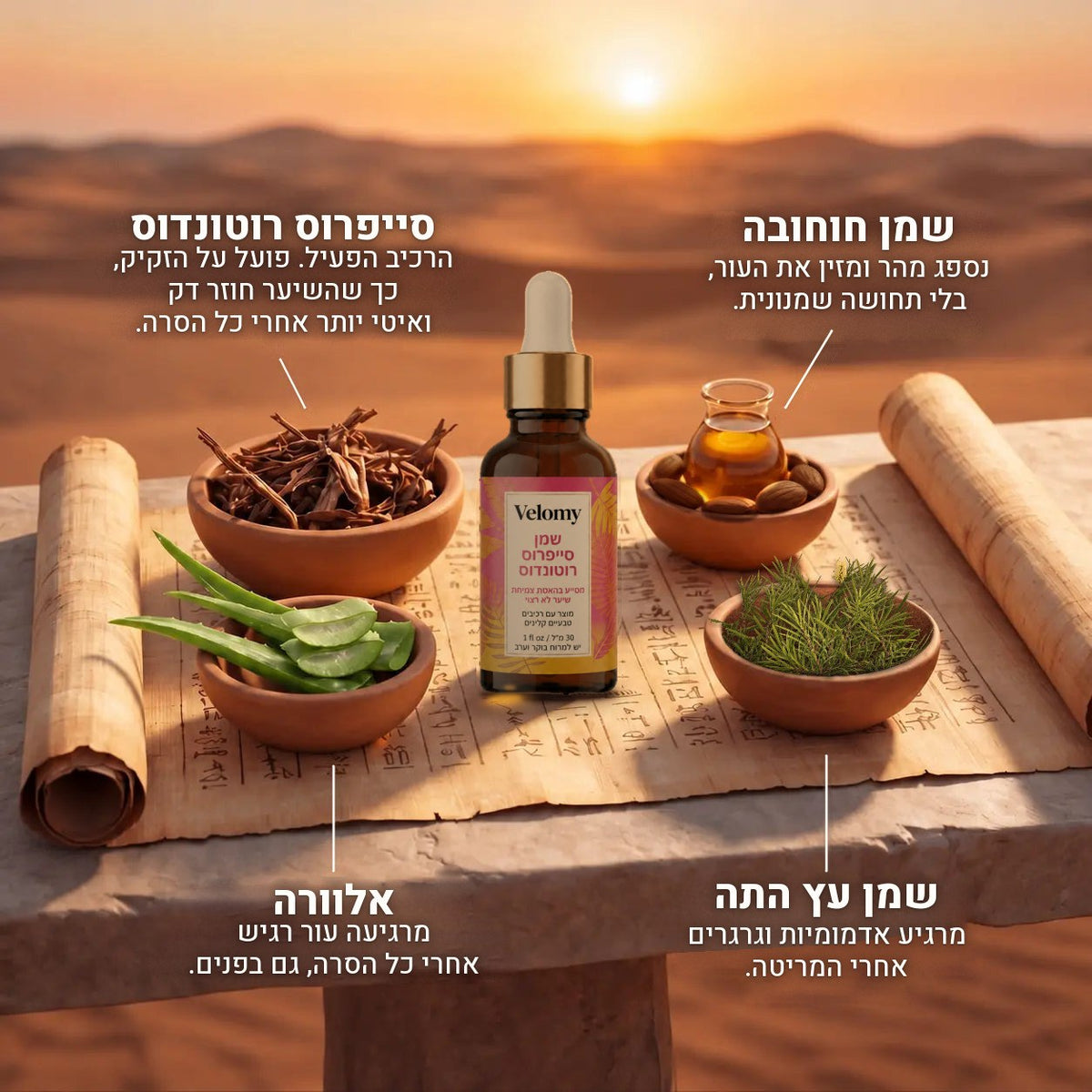 שמן Velomy והרכיבים שלו